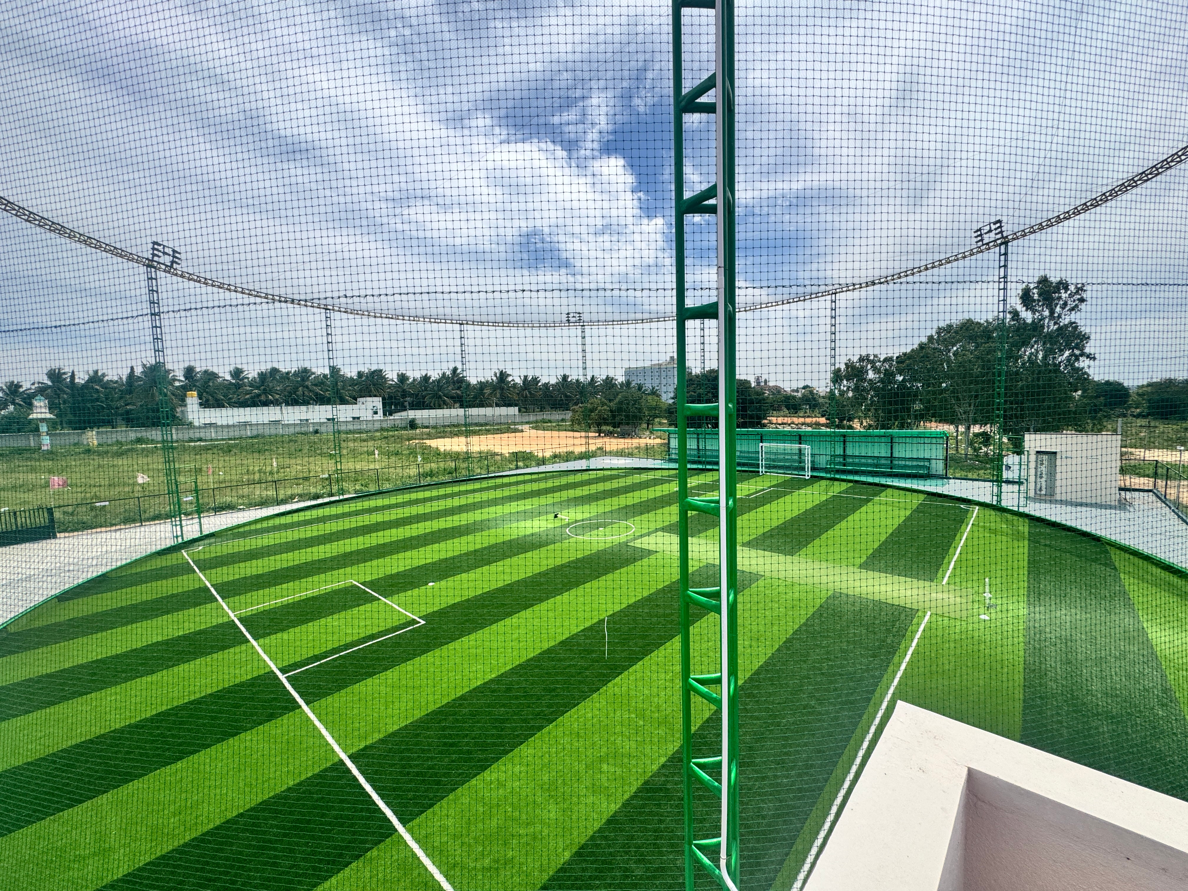 Turf photo 7