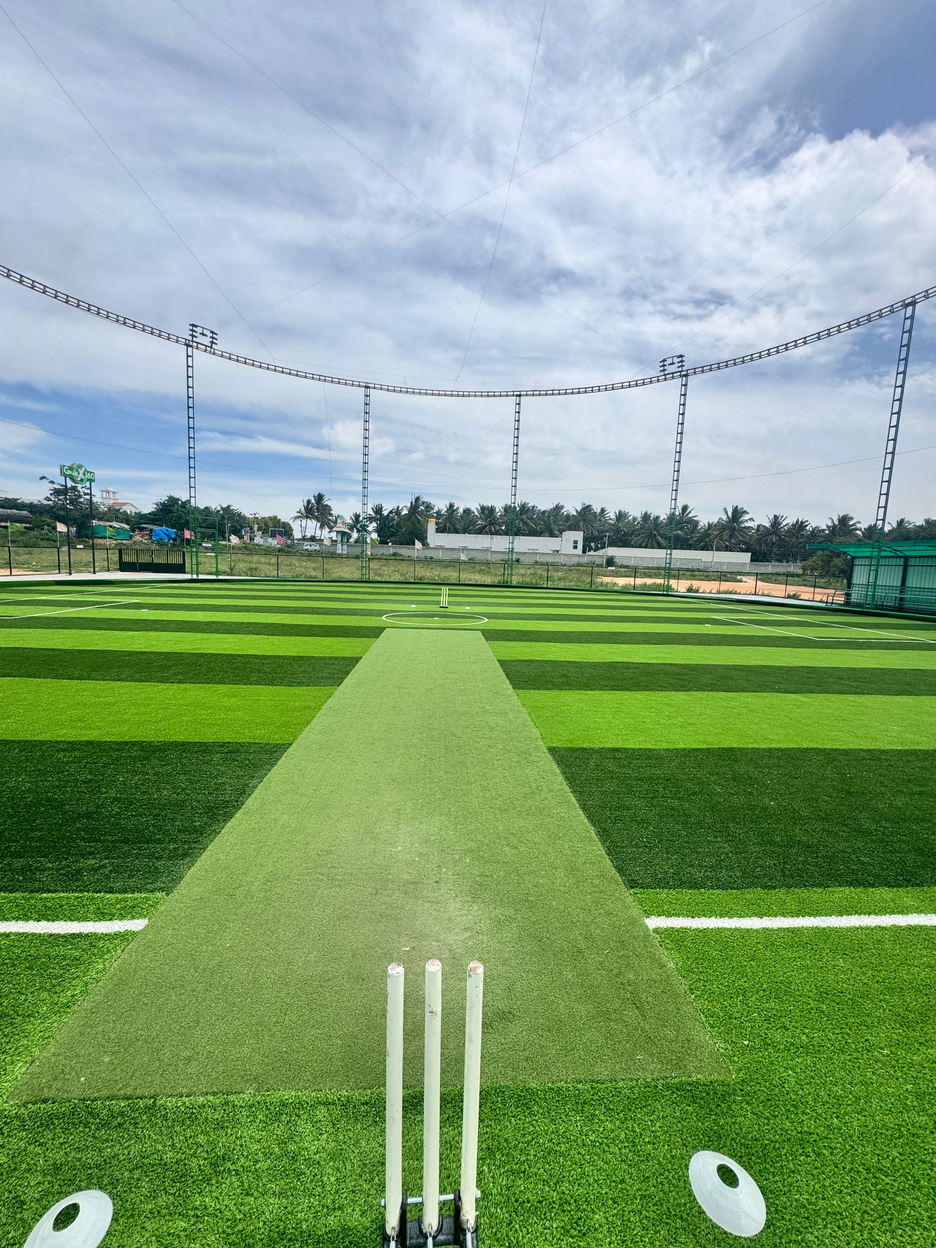 Turf photo 8