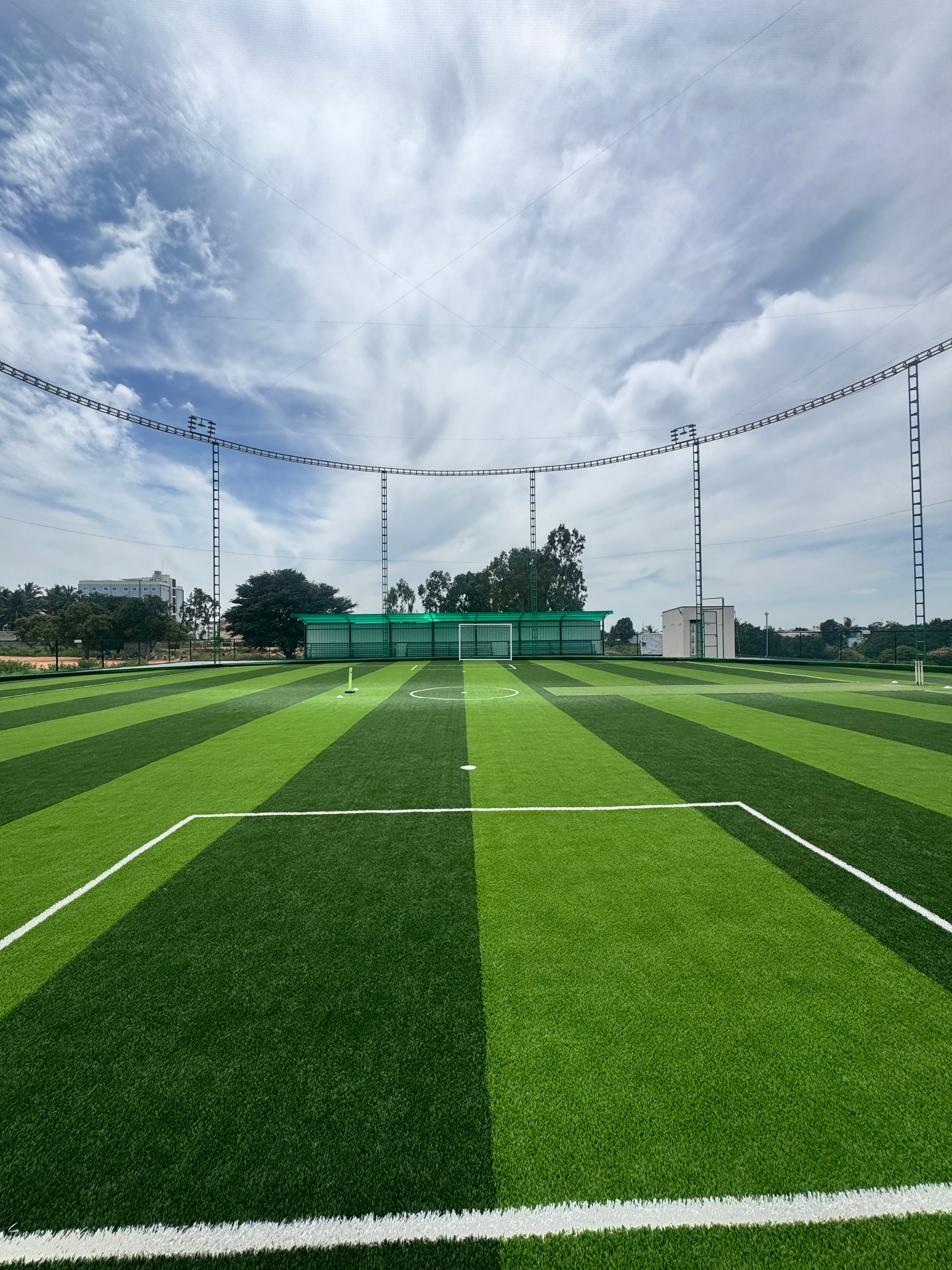 Turf photo 9