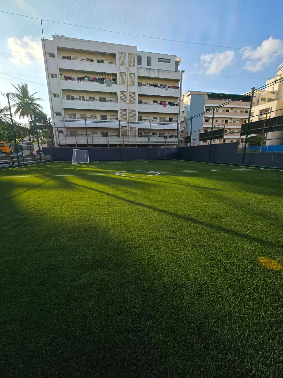 Turf photo 2