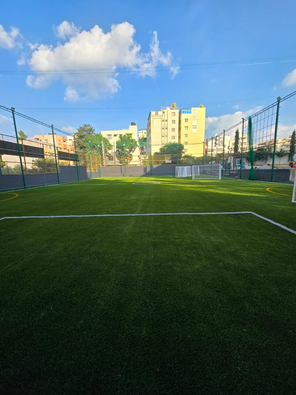 Turf photo 4