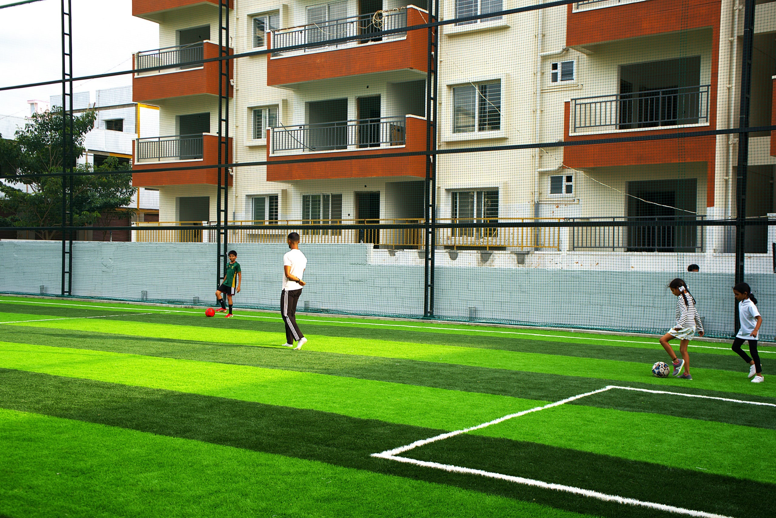 Turf photo 3