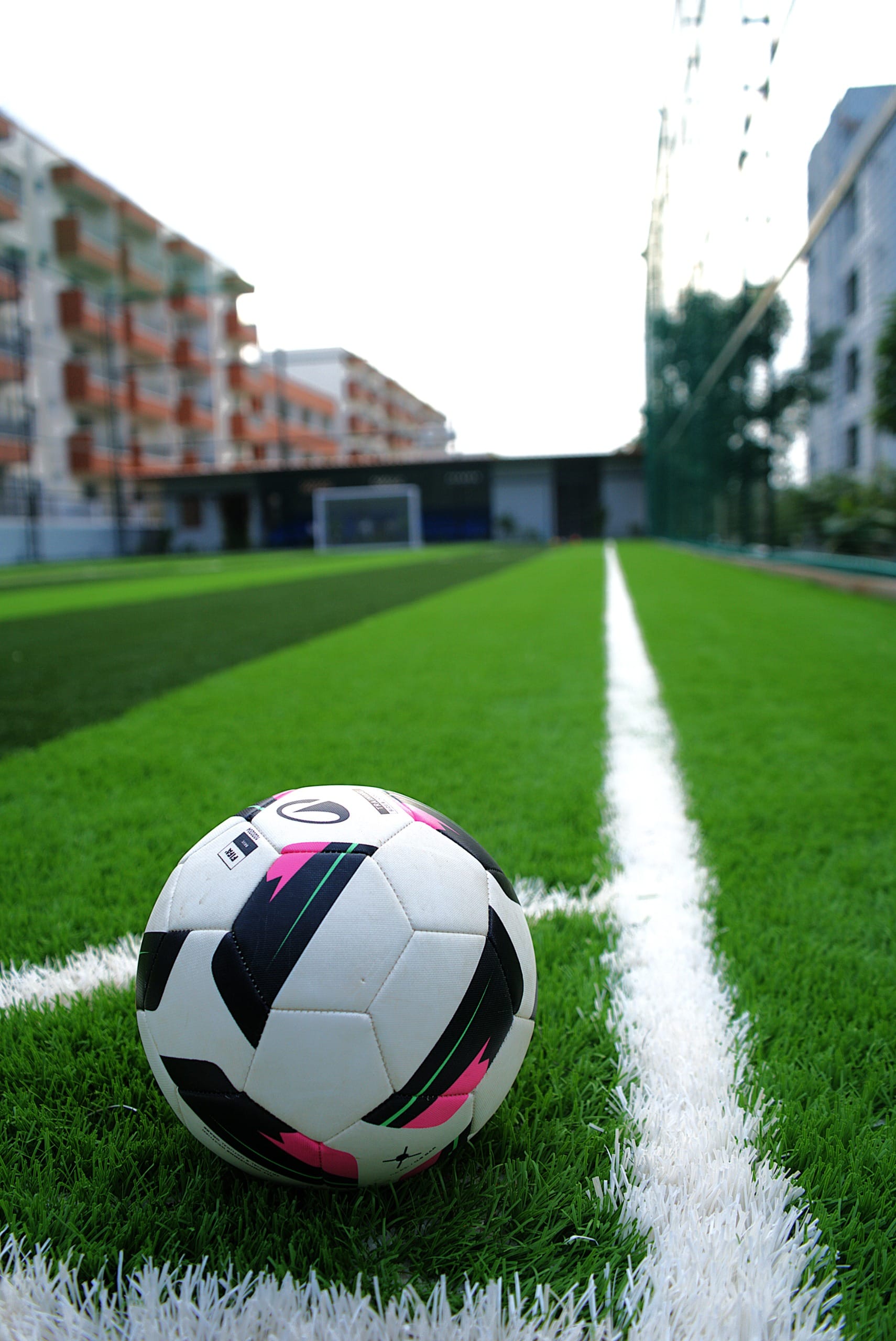 Turf photo 5