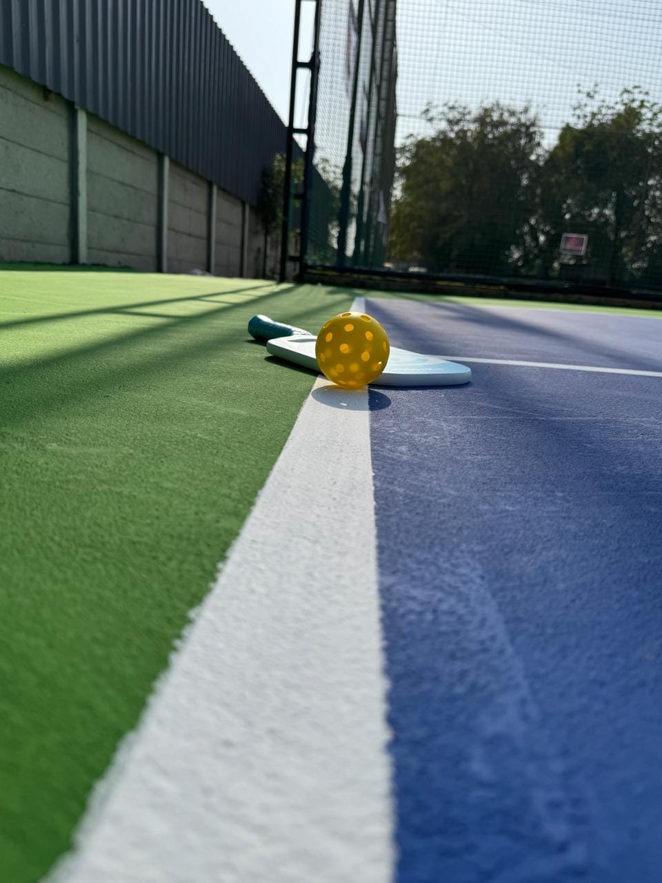 Googly Box Cricket and Pickleball
