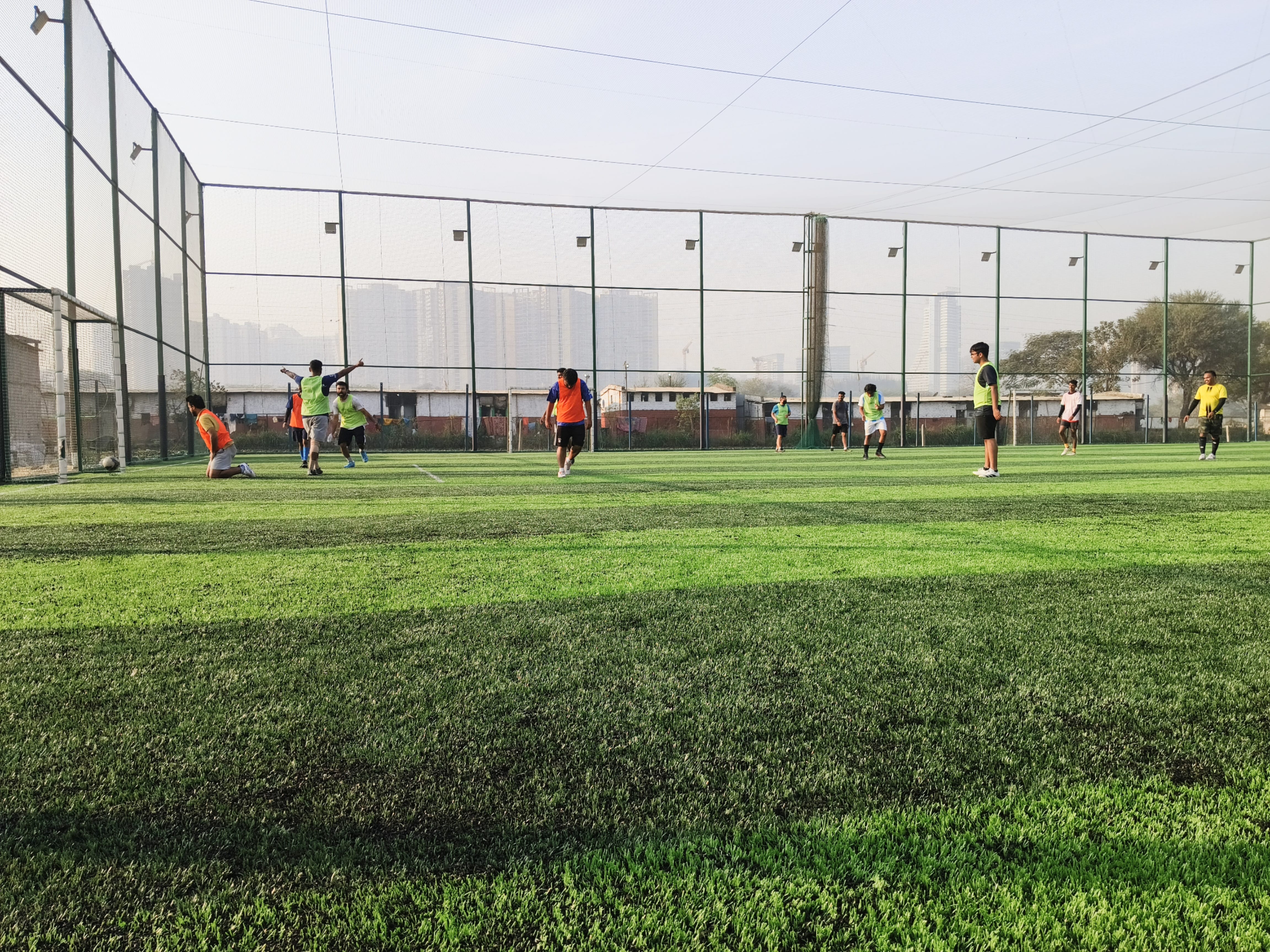 Grass And Goals Turf