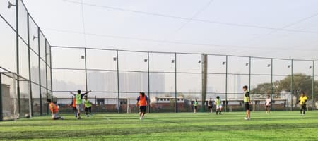 Grass And Goals Turf