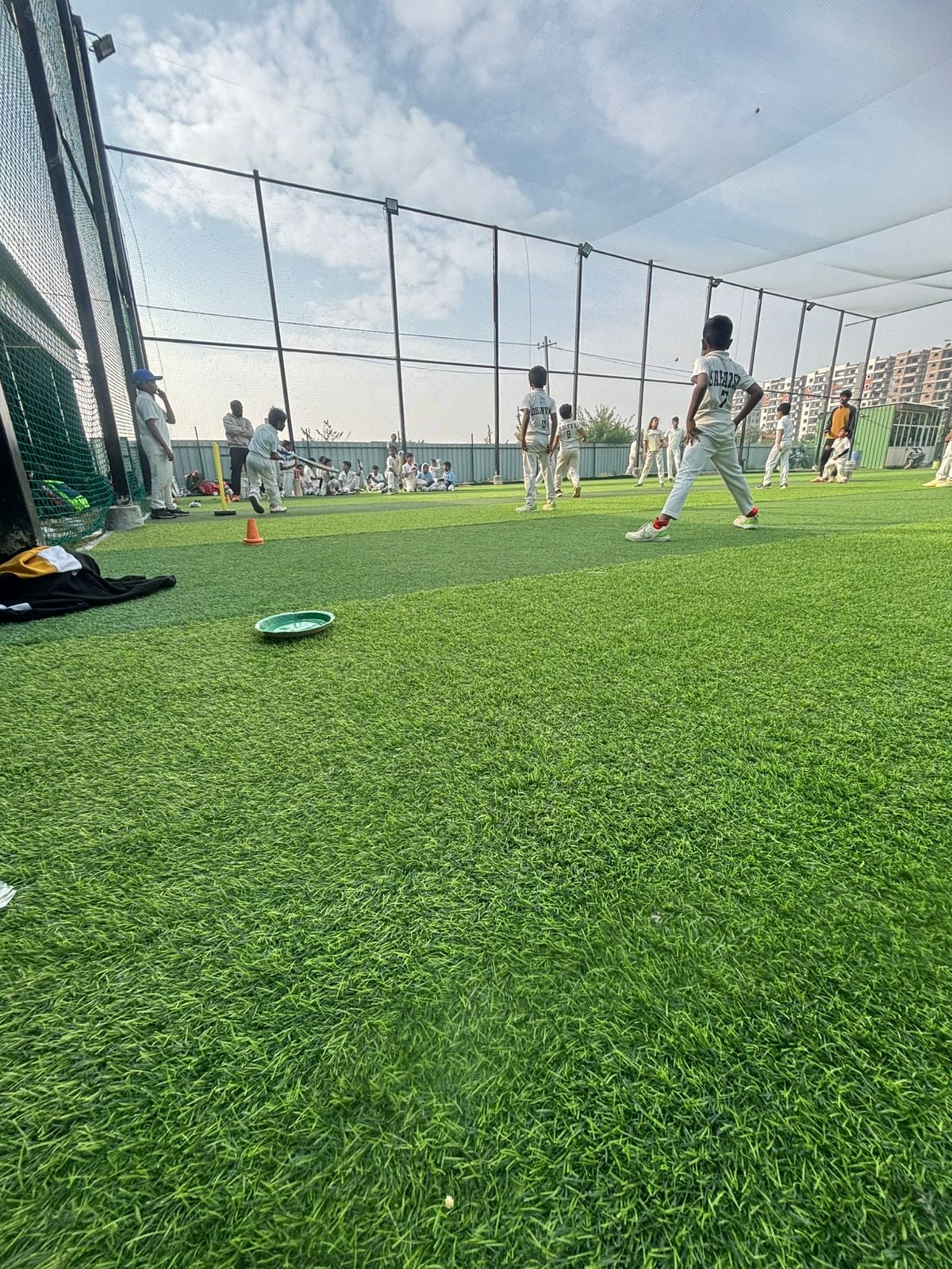 Turf photo 6