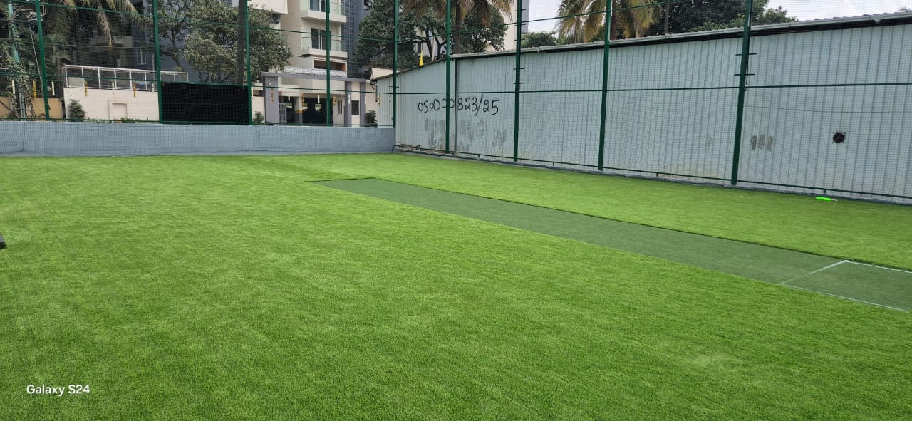 Turf photo 4