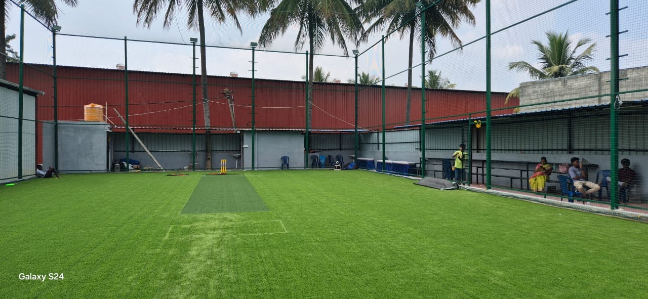 Turf photo 3