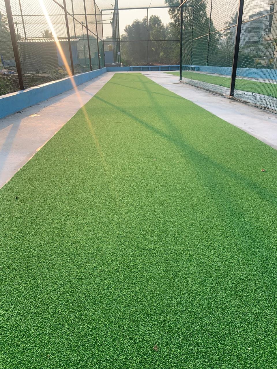 Turf photo 6