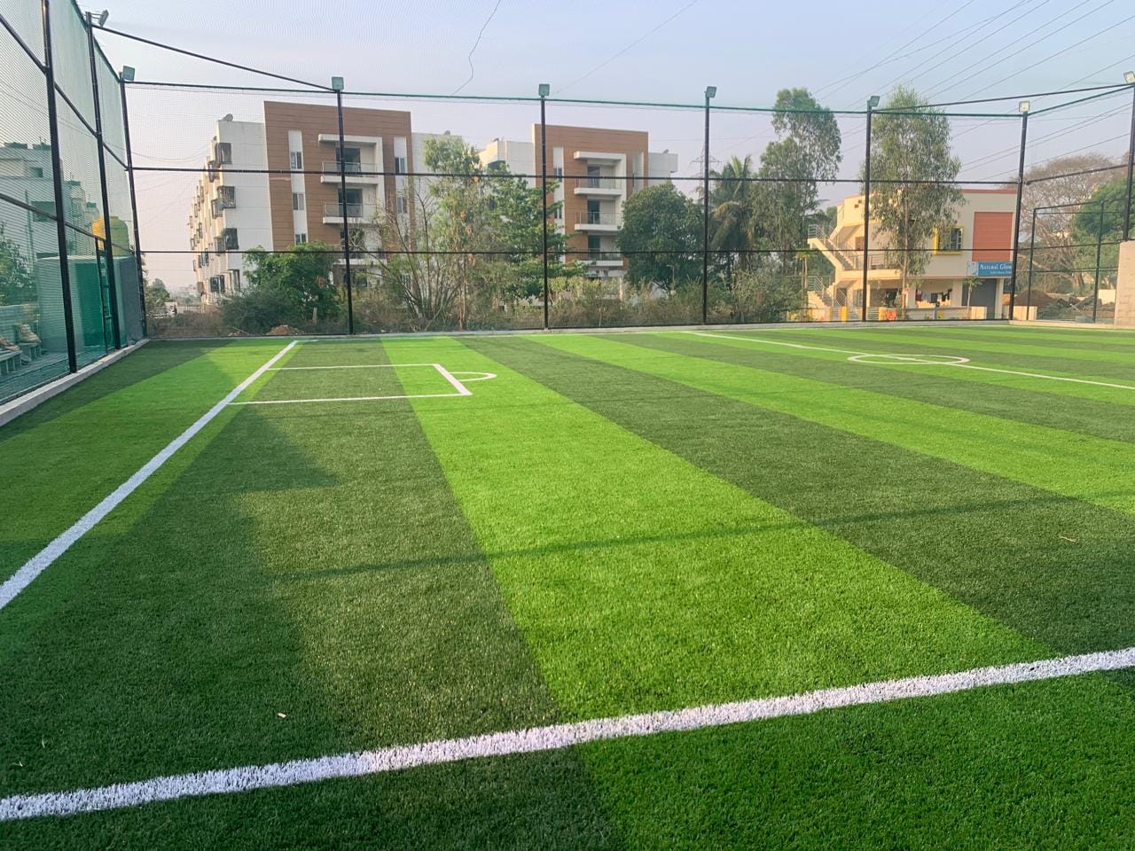 Turf photo 7