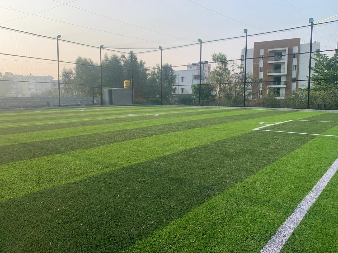 Turf photo 8