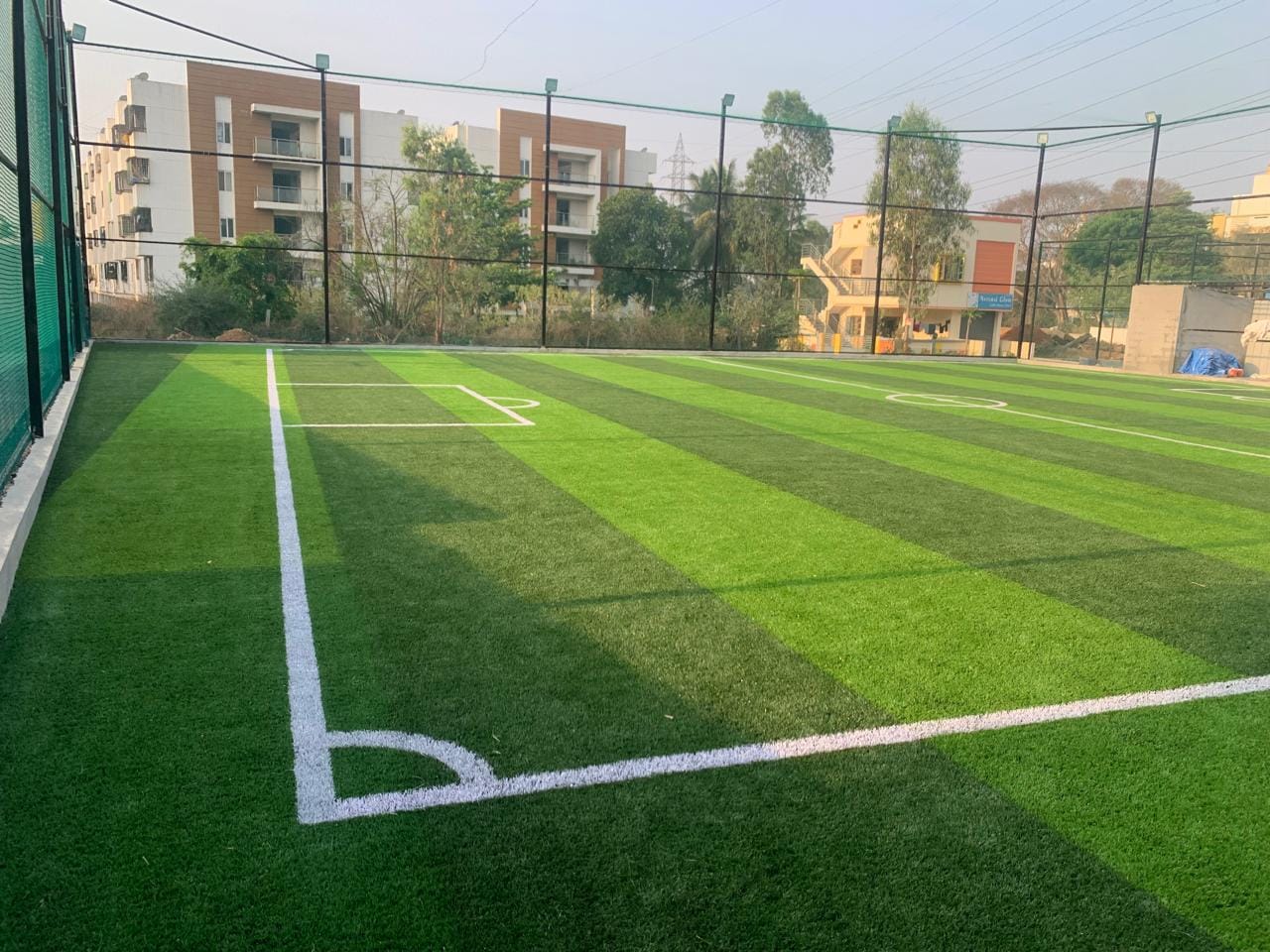 Turf photo 9