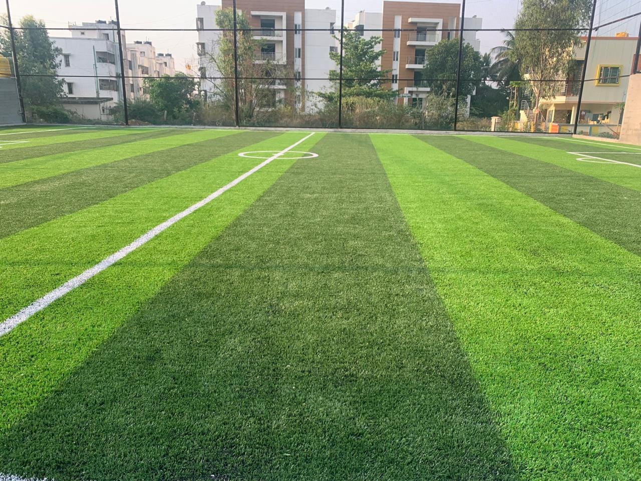 Turf photo 10