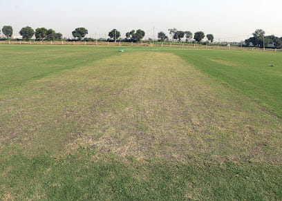 Green Park Oval Cricket Ground
