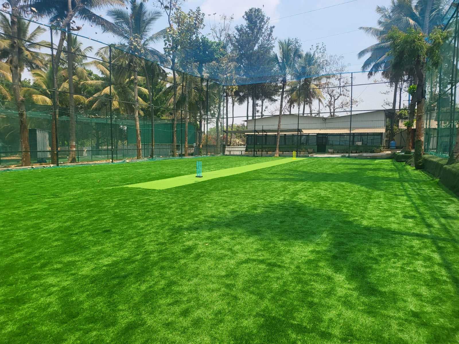 Turf photo 7
