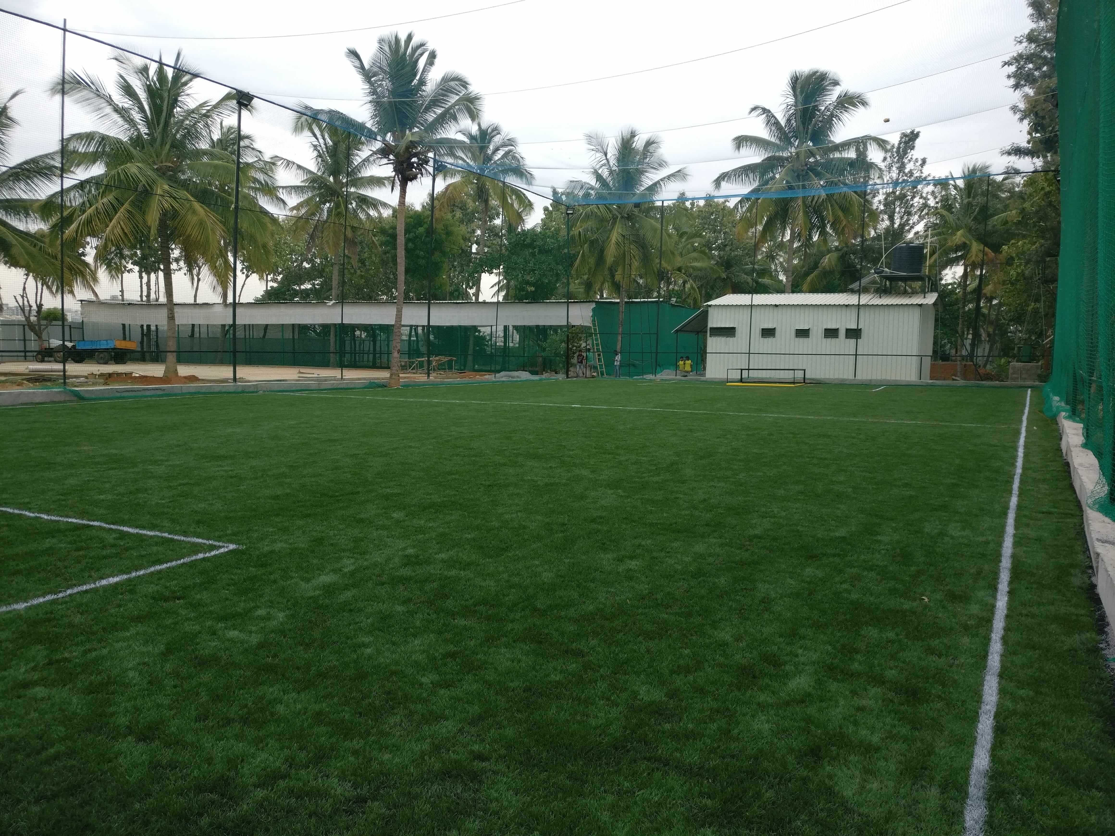 Turf photo 8