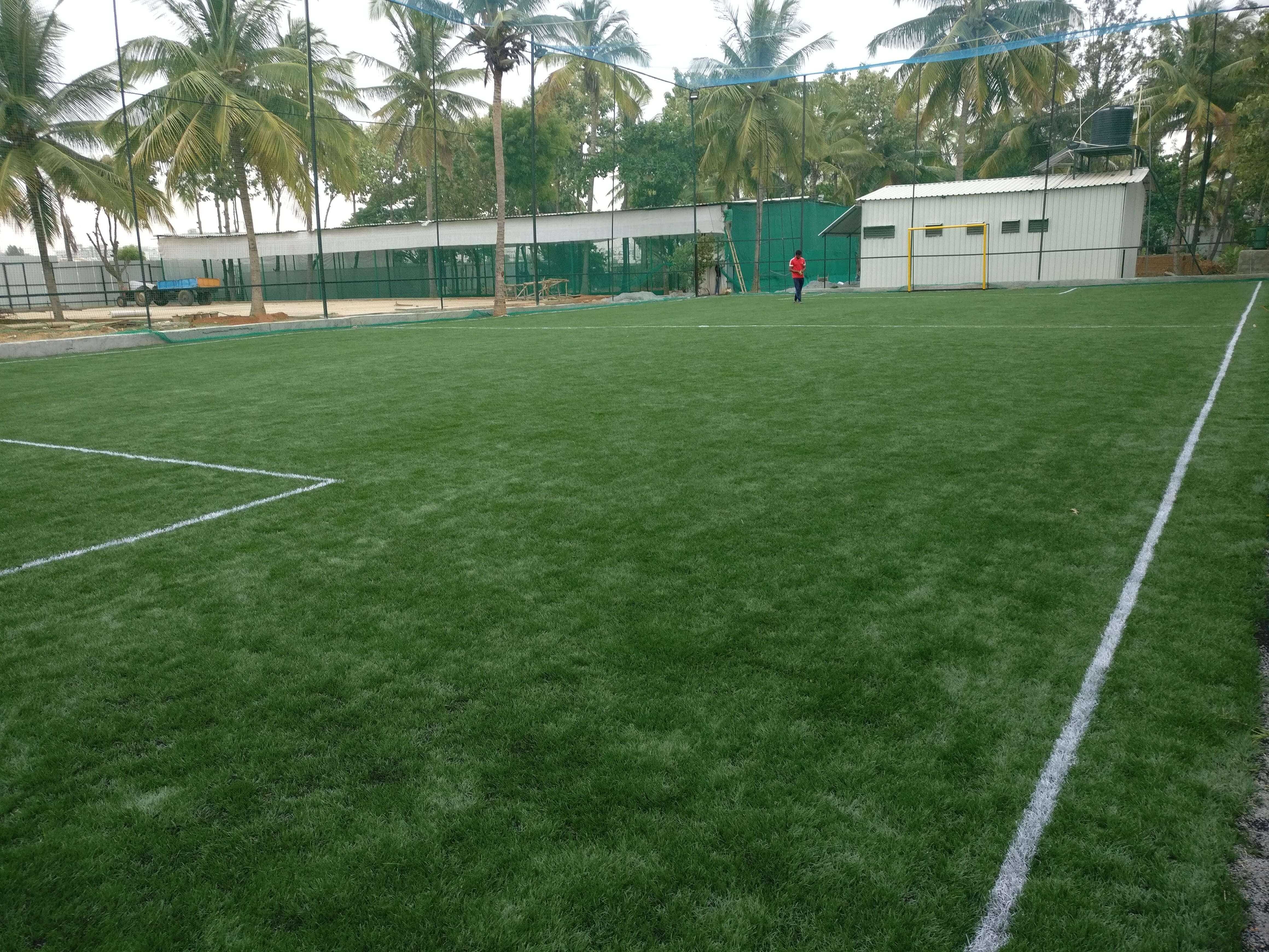 Turf photo 9