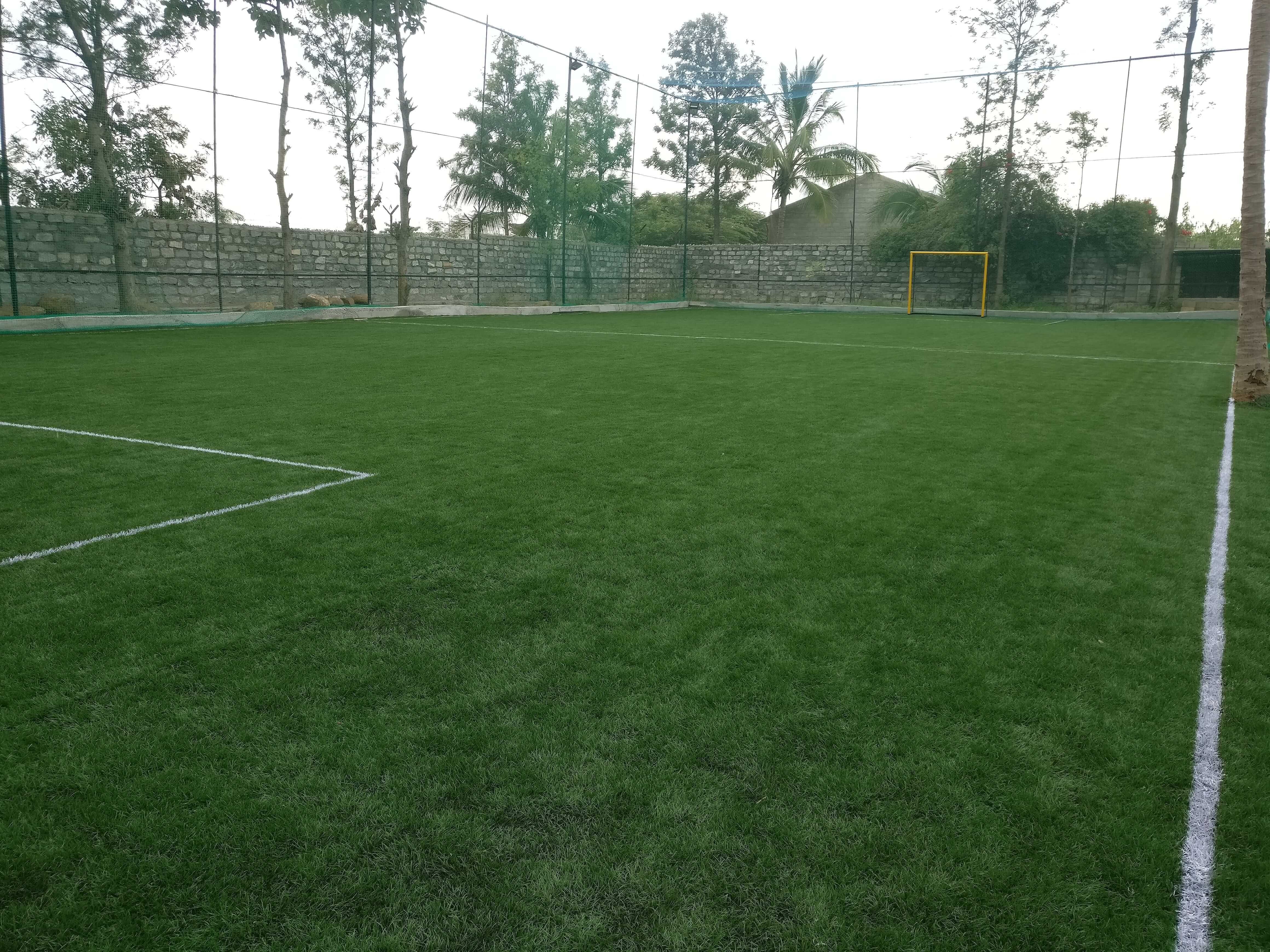 Turf photo 10
