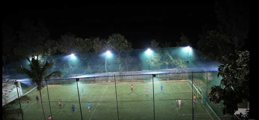 Turf photo 12