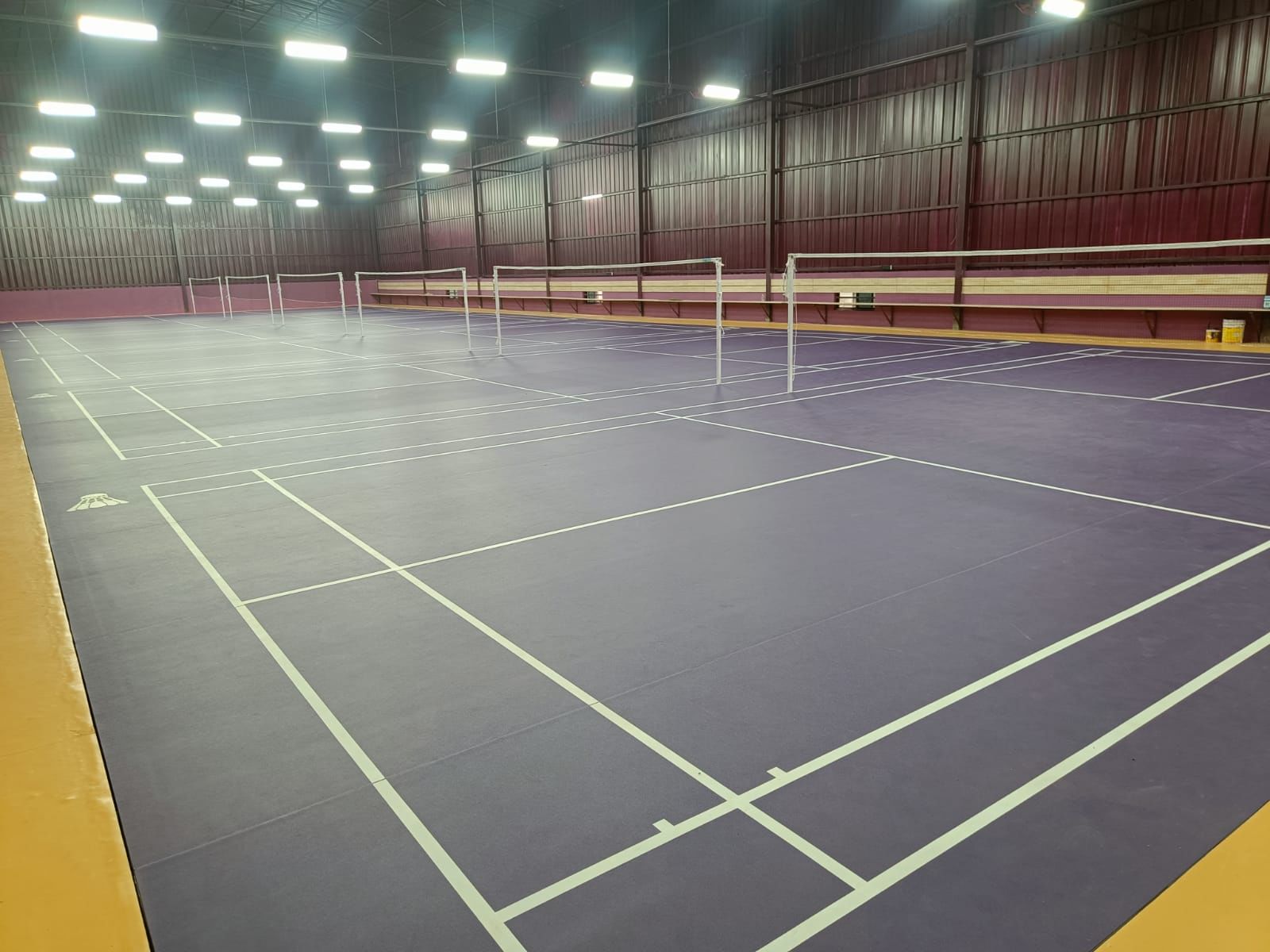 Happiness & Wellness