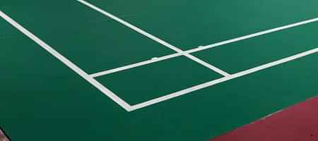 Harikrishna Badminton Zone