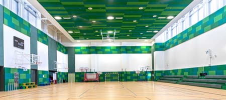 Oasis Community Sports @Hartland International School