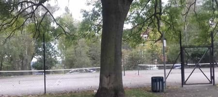 Hilly Fields Tennis Courts