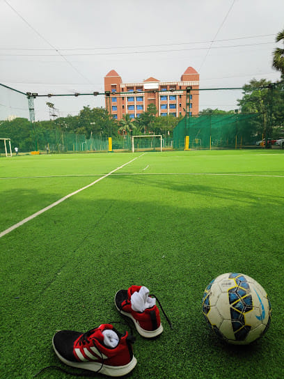 Home Ground Turf