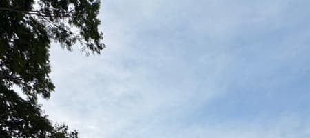 Horizon Sports Arena