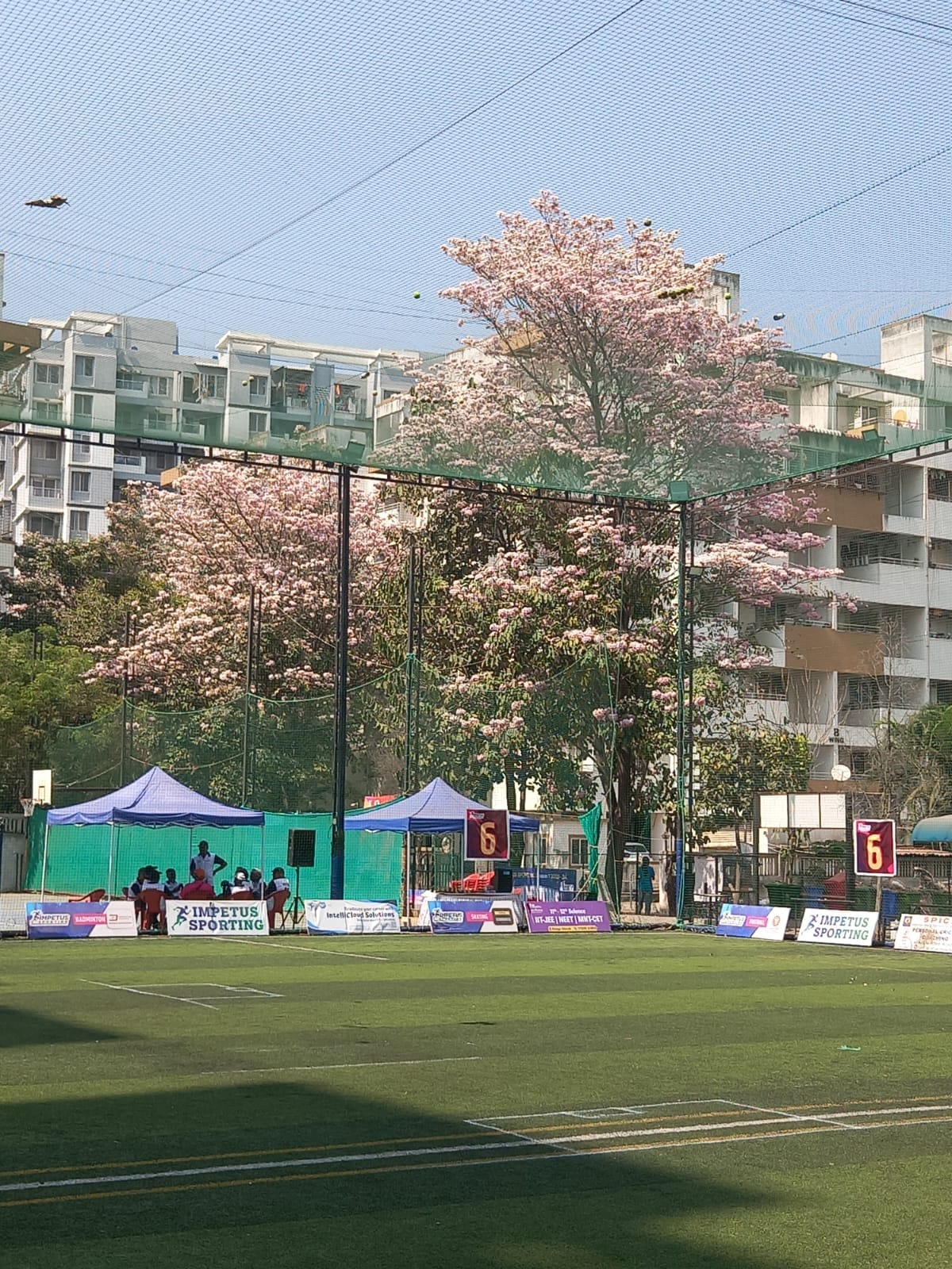 Impetus Sporting Wakad Turf