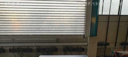 IndiQube South Island