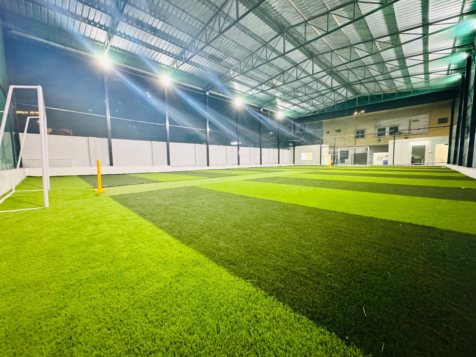 Turf photo 6