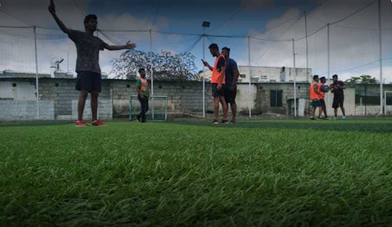 Turf photo 7