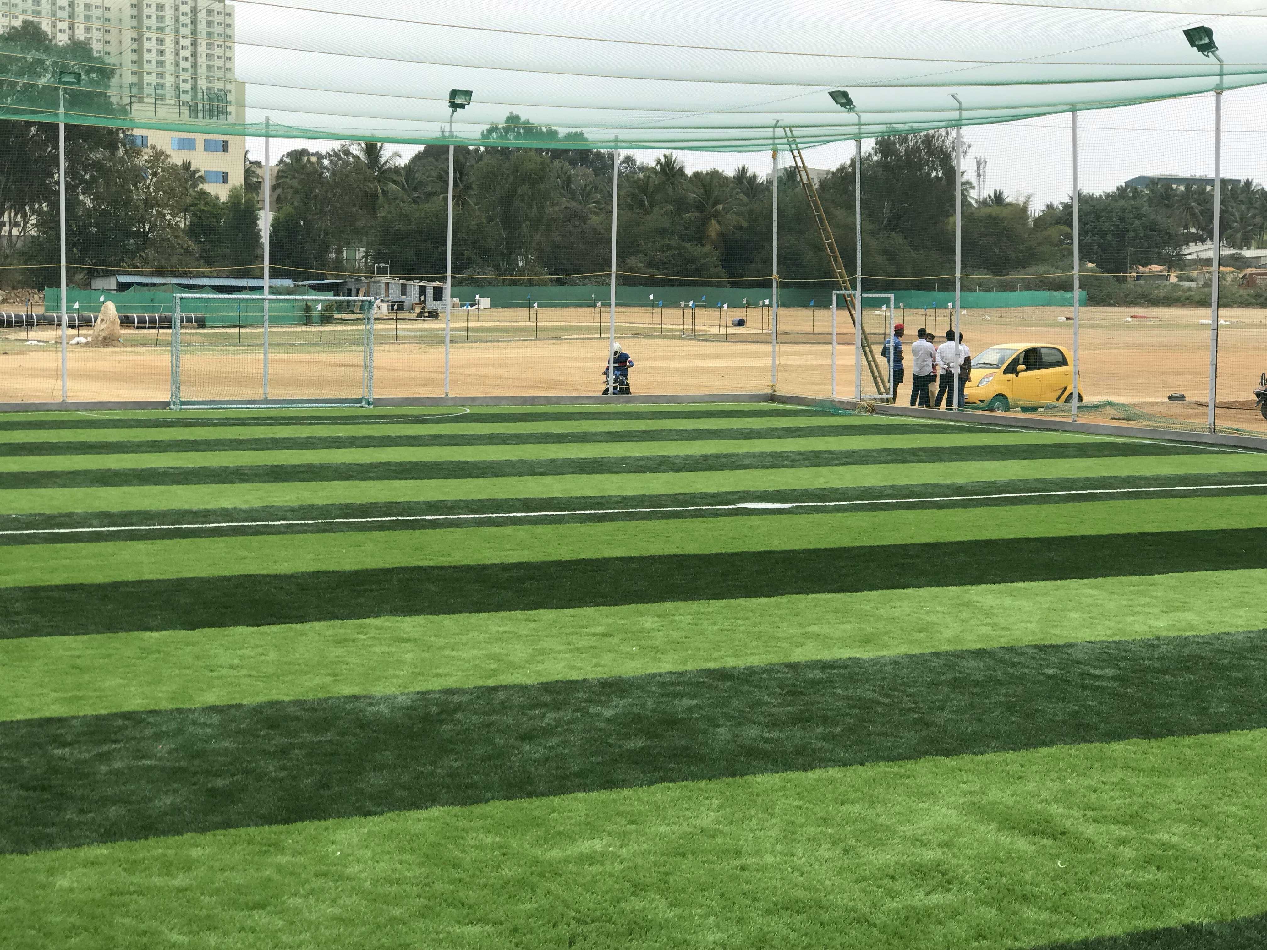 Turf photo 8