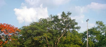 Jagadish AFOCHS Tennis Academy