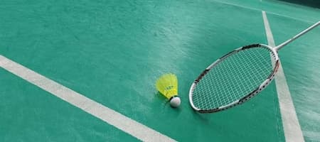 Japan Badminton Court