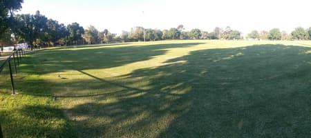J J Holland Park