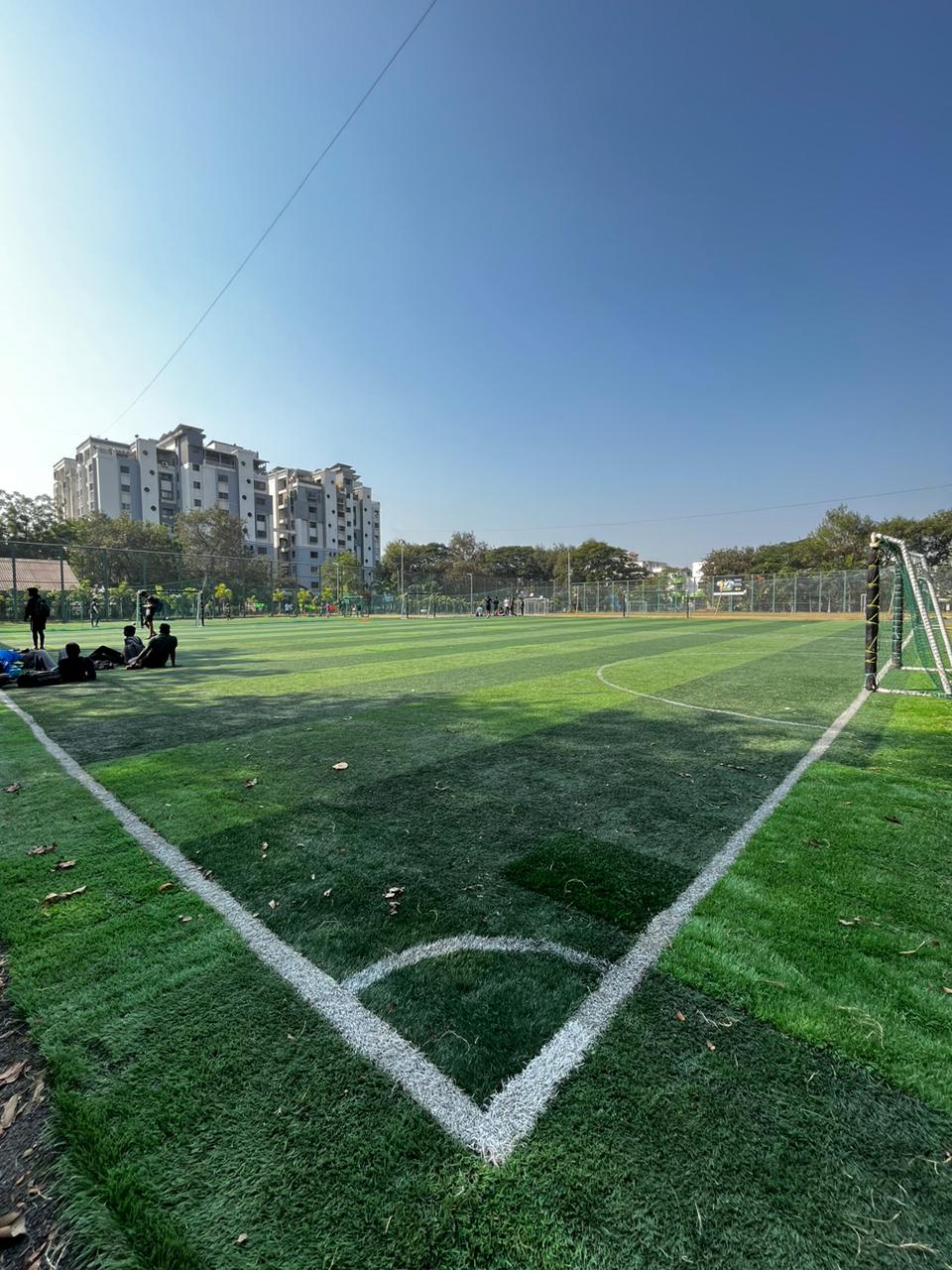 Turf photo 9