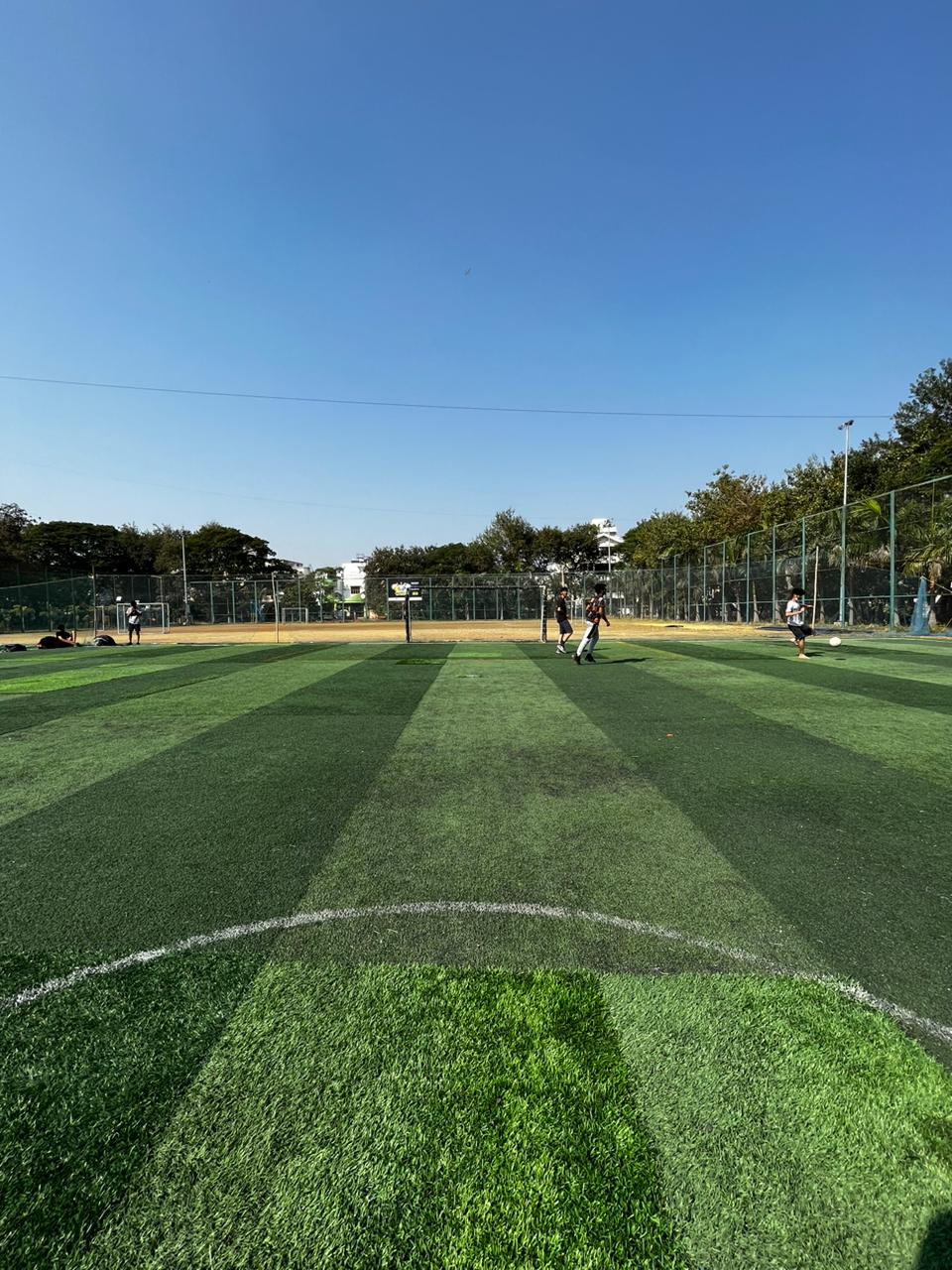 Turf photo 10