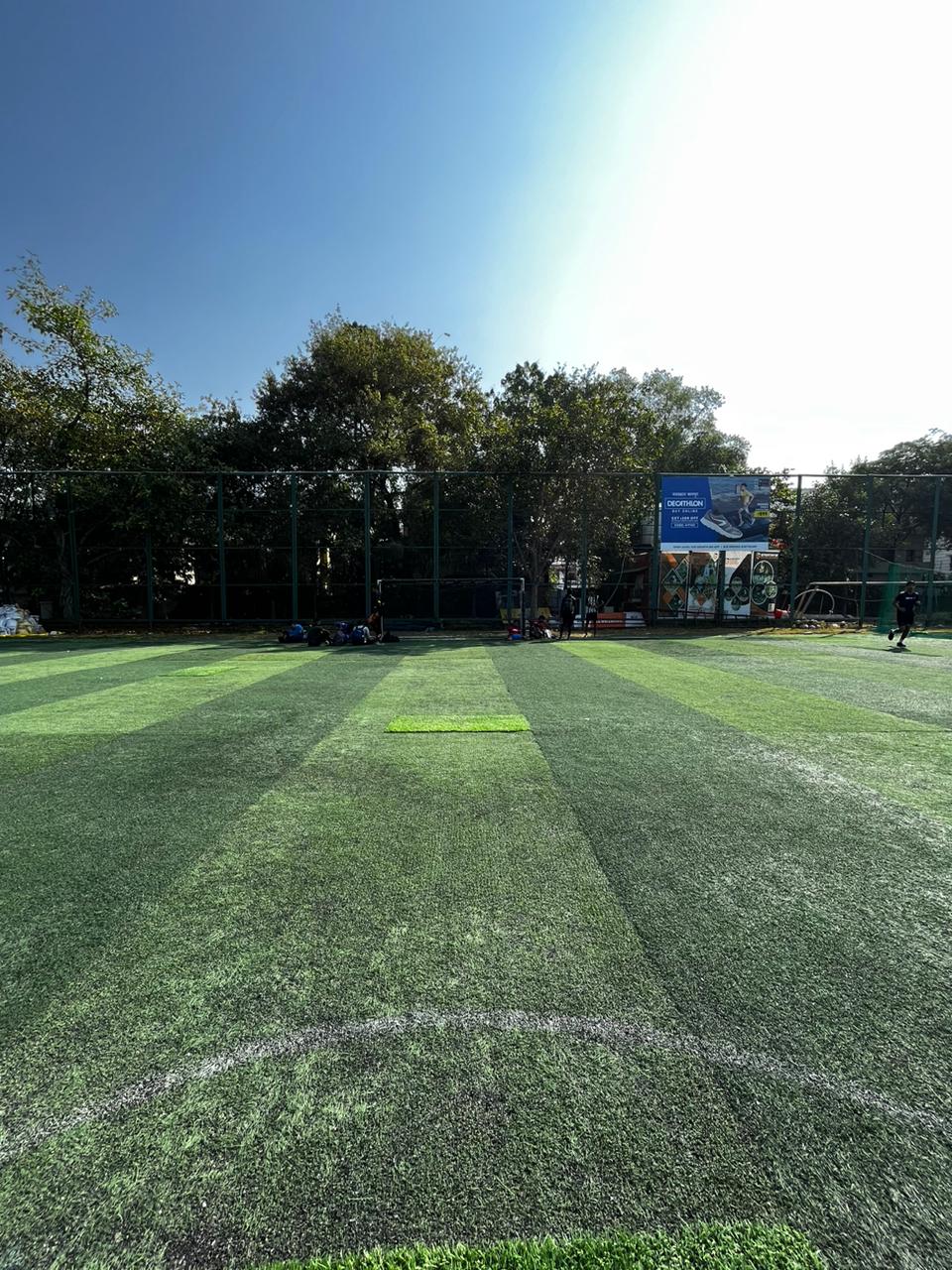 Turf photo 11
