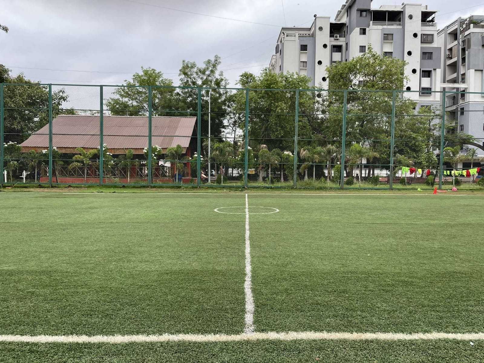 Turf photo 6