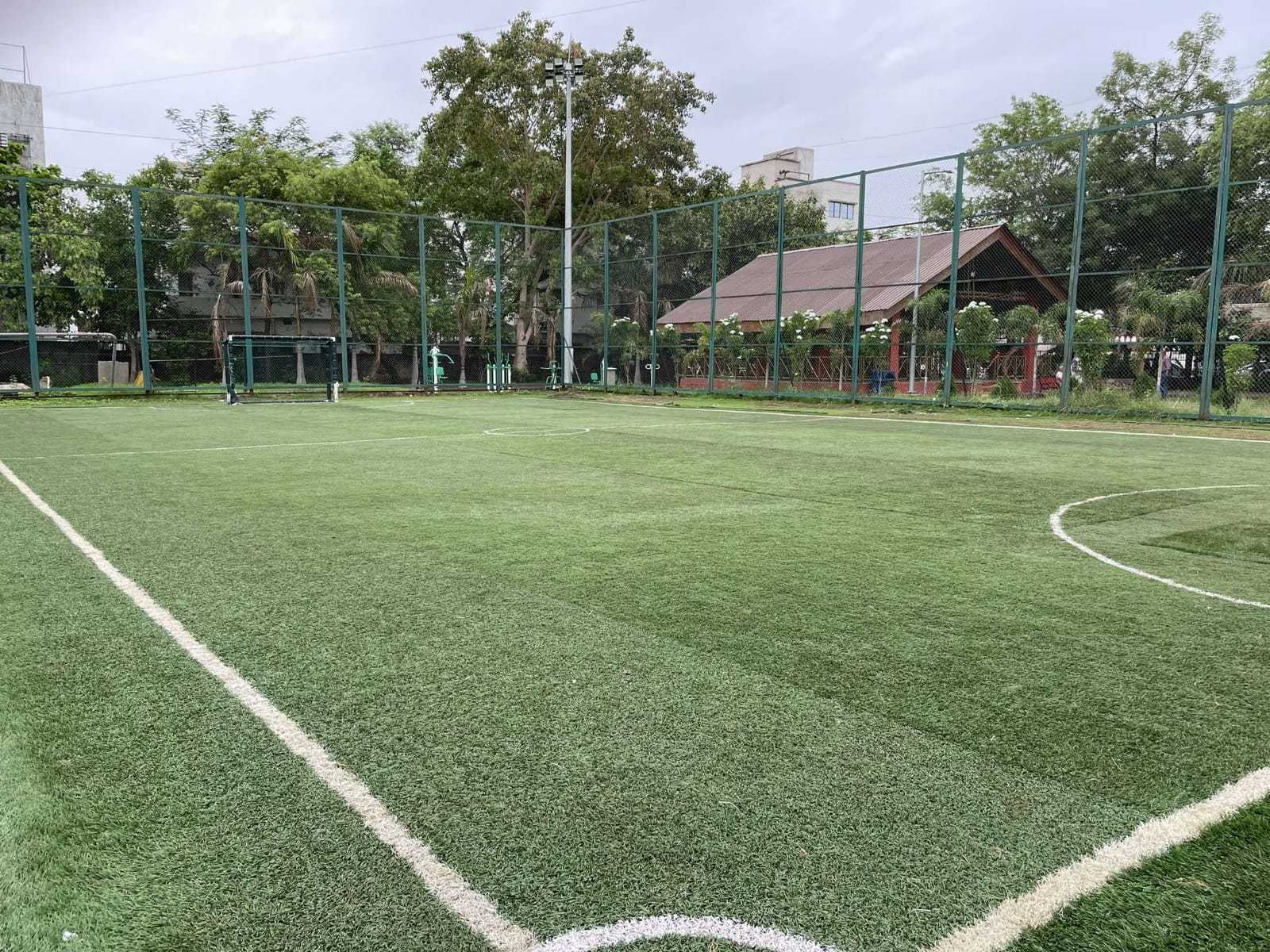 Turf photo 8