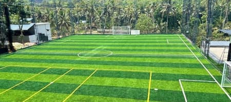 Joney's Sports Meadow