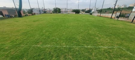 Joras Natural Grass