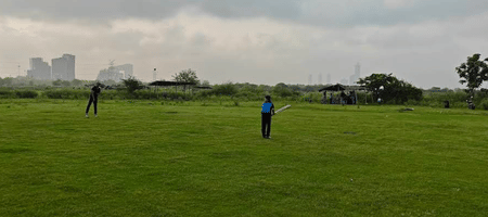 Jungle Safari Cricket Ground