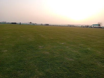 Jungle Safari Cricket Ground 3