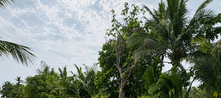 Kenilworth Resort & Spa