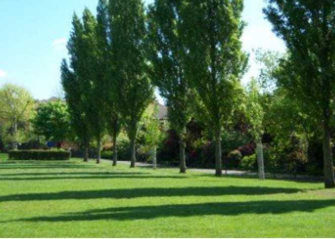 Kensington Memorial Park