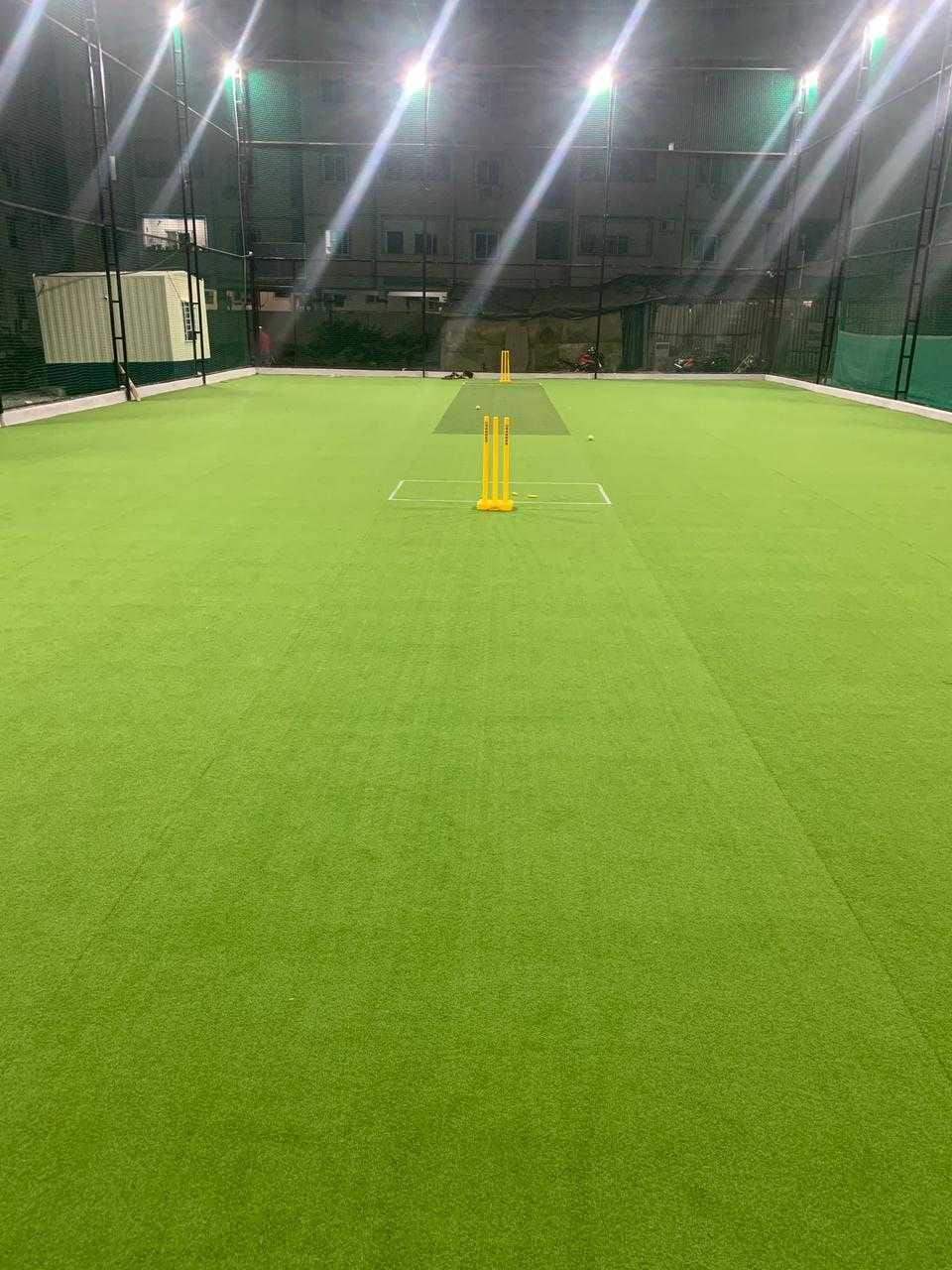 Turf photo 9